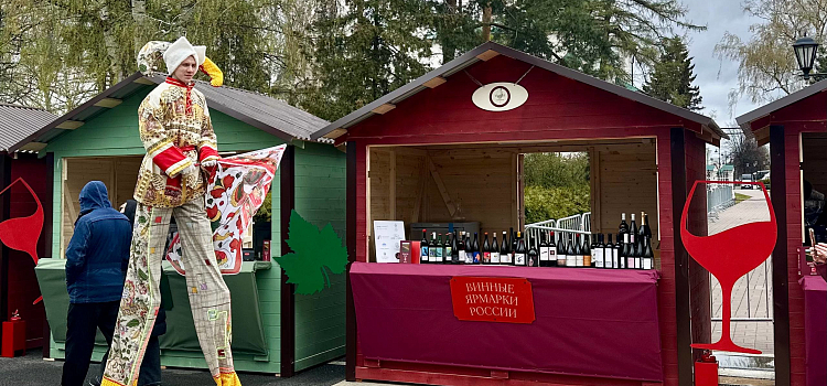 В Ярославле стартовал фестиваль российских виноделов_315138