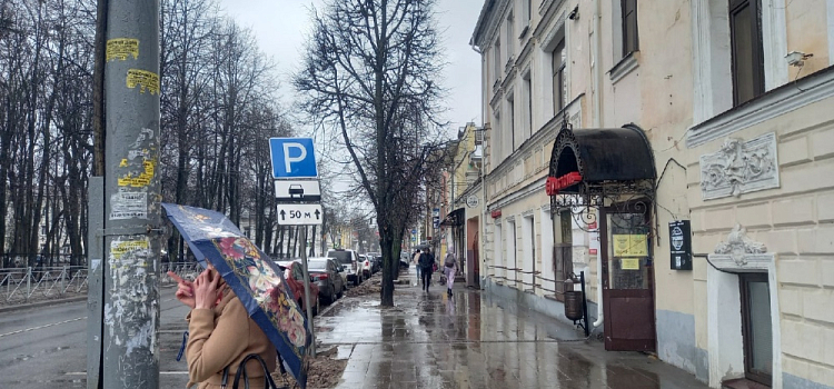 Синоптики рассказали, когда в Ярославской области закончатся дожди