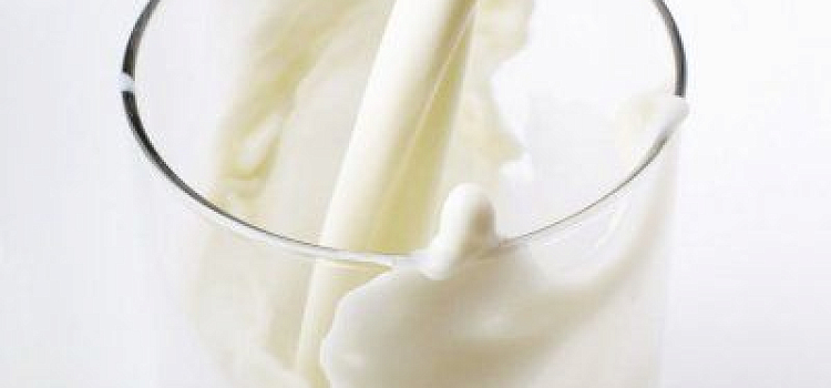 За 2016 год Россельхознадзор по Ярославской области утилизировал 80 кг молочной продукции