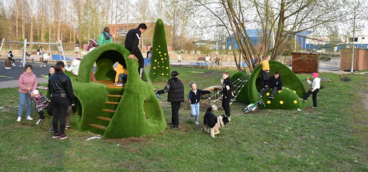 В Переславском парке установили скульптуры из кустарников_271119