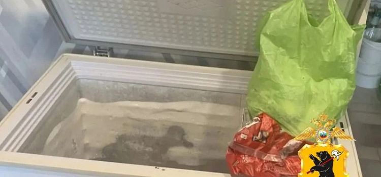 В Ярославской области задержали двух браконьеров, застреливших трёх лосей