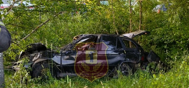 За три дня в ДТП на дорогах Ярославской области погибли четыре человека_317545