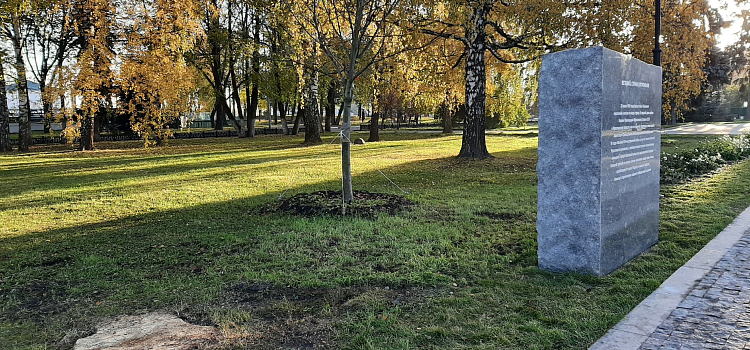 Плитка шатается: в Ярославле общественник раскритиковал благоустройство у Вечного огня_284566