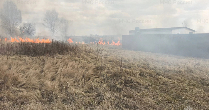 Горящая сухая трава в поле едва не уничтожила дома в дачном поселке под Ярославлем