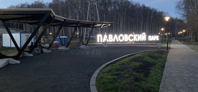 Многострадальная Павловская роща в Ярославле приобретает новый облик_286137