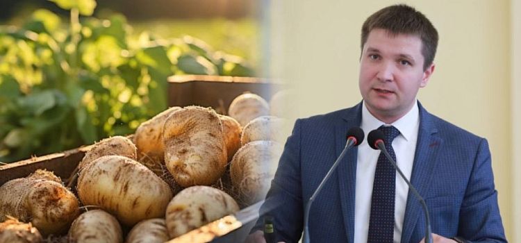Министр АПК рассказал о ситуации с запасами картофеля в Ярославской области