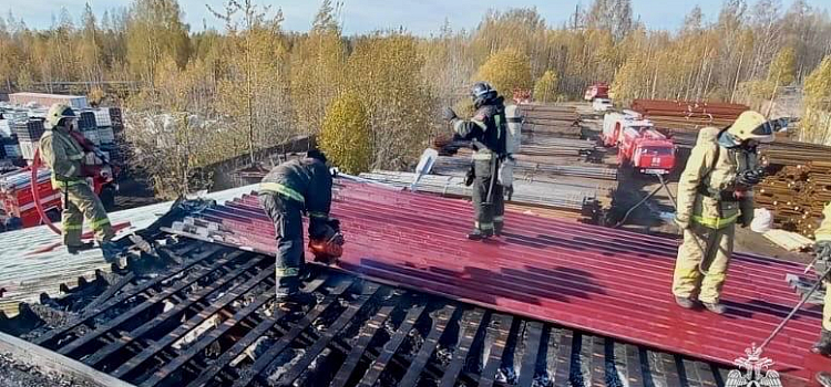 В Ярославле горело предприятие по производству огнетушителей_284058