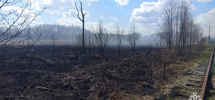В Ярославле произошёл большой пал сухой травы_315506