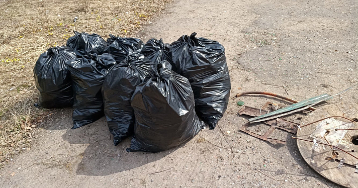 Ярославец попросил помощи в добровольческой уборке брагинского парка «У попугая»_157617
