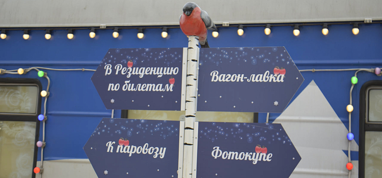 «Это настоящее путешествие в сказку для детей»: что увидели ярославцы в поезде Деда Мороза_230657
