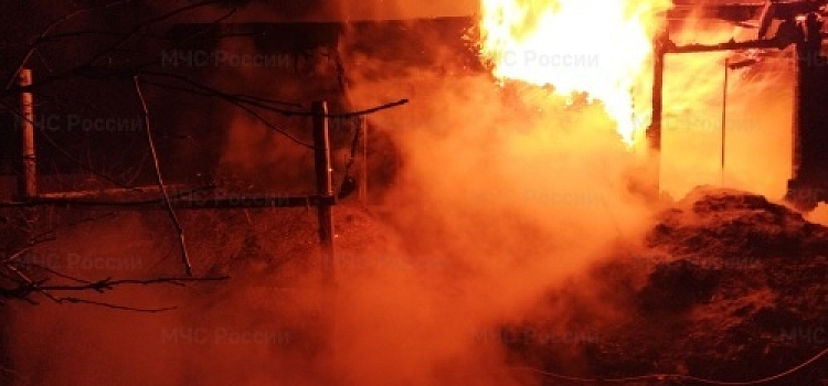 В Рыбинском округе при пожаре погибли куры, две коровы, бык и шесть свиней
