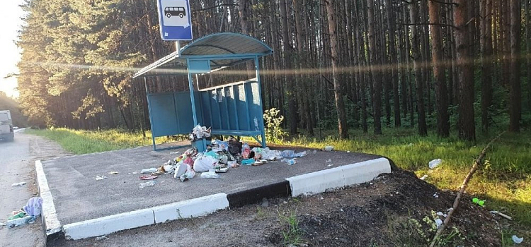 Ярославцы пожаловались на мусор на Прусовских карьерах