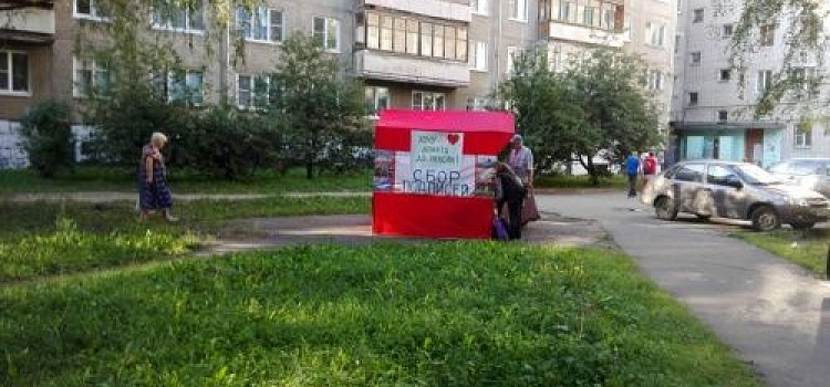  На выборах в Яроблдуму для «Единой России» расчищают поляну