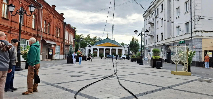 В Ярославле на улице Депутатской «очистили небо»_321611