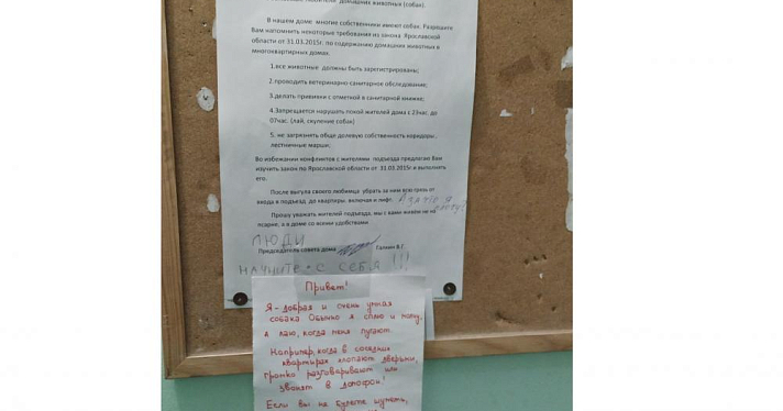 «Не будете шуметь — не придется лаять»: в Ярославле собаководы воюют с соседями