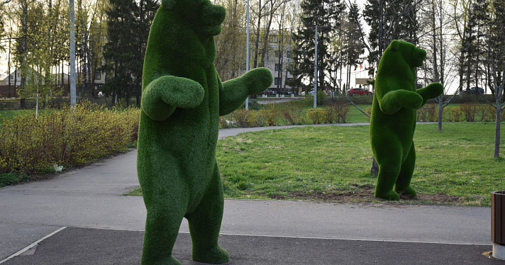 В Переславском парке установили скульптуры из кустарников_271115