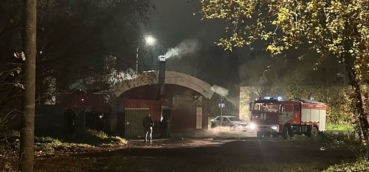 В Ярославской области горел магазин