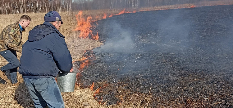 Ярославские пожарные за выходные 66 раз выезжали тушить горящую траву