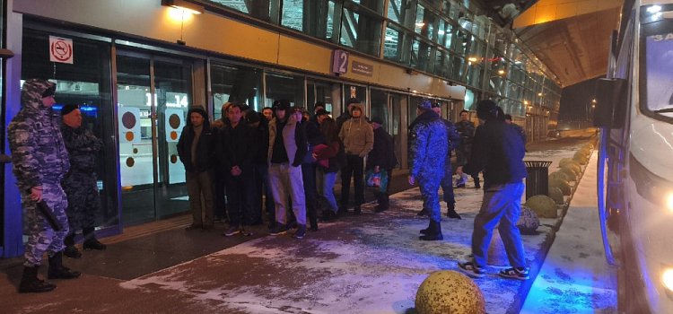 За два месяца из Ярославской области выдворили 67 нелегалов