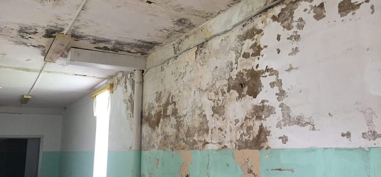 В школе под Ярославлем несколько лет течет крыша и сыпется штукатурка