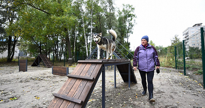 В Дзержинском районе Ярославля открыли новые специализированные площадки для животных_221409