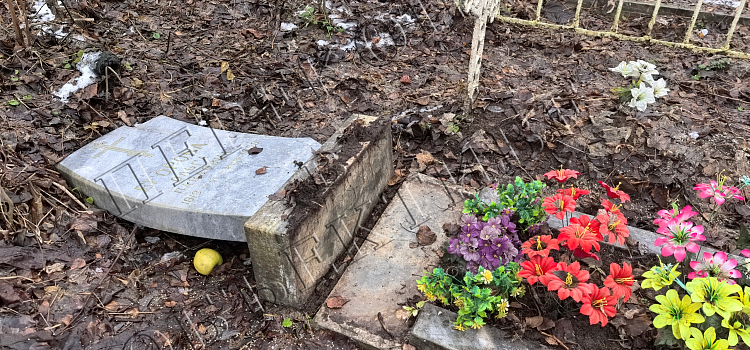 На Донском кладбище Ярославля повредили старинные надгробия_307765