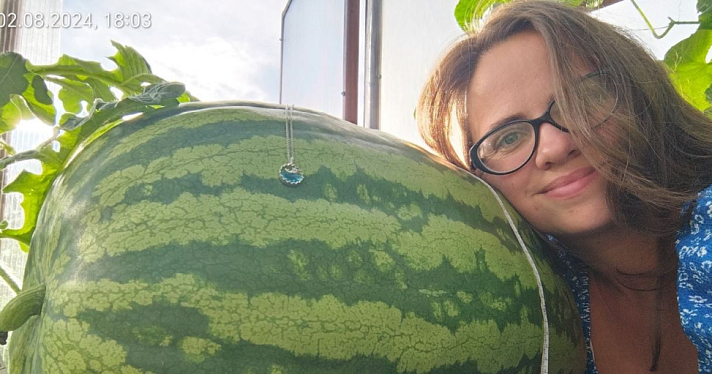 Жительница Ярославской области вырастила арбуз-гигант весом 47 килограммов