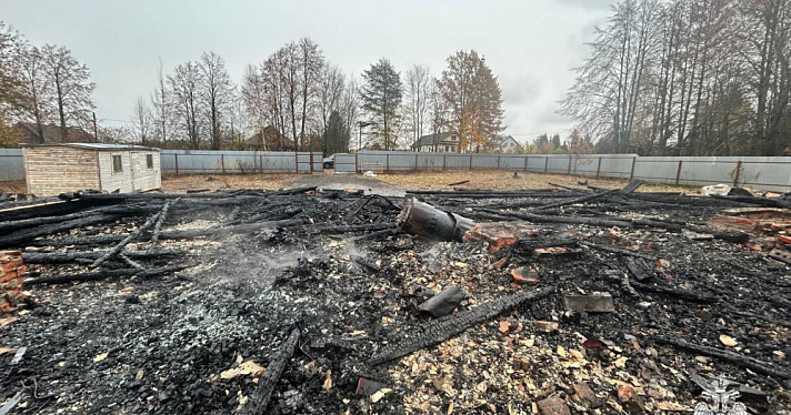 Погибли 150 птиц: в Ярославской области сгорел птичник