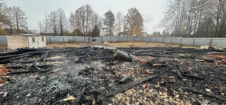 Погибли 150 птиц: в Ярославской области сгорел птичник