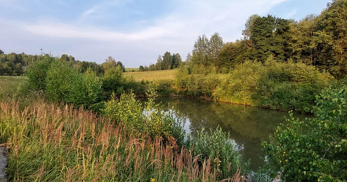 В Ярославской области на расчистку реки потратят более 30 миллионов рублей