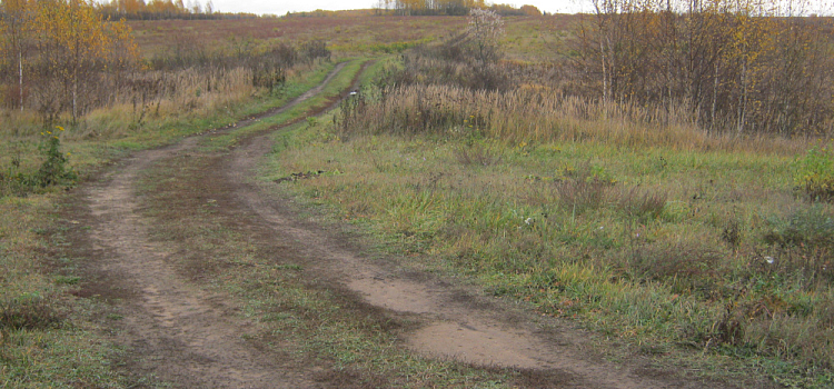 Ярославцам пообещали очень тёплый ноябрь