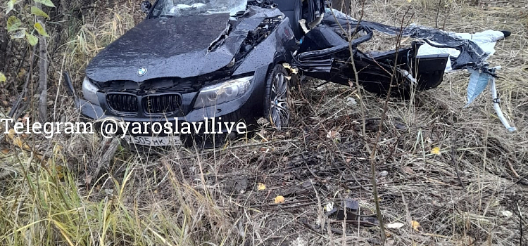 В Ярославле в ДТП погиб водитель «БМВ»: он врезался в стоящий грузовик_224517