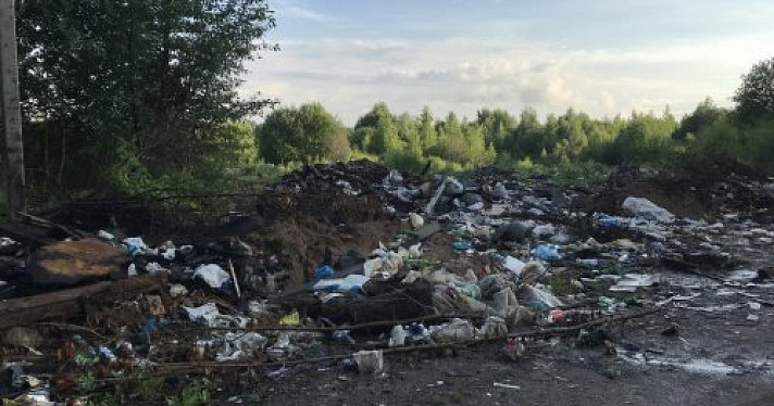 Суд обязал мэрию Ярославля убрать свалку в Дзержинском районе