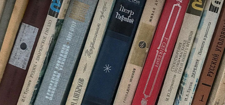 В Ярославле открылась арт-полка для буккроссинга: где находится_169479