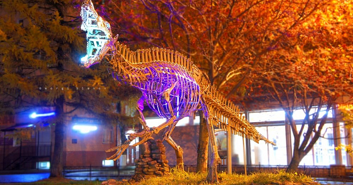 Фотохудожник подсветил скульптуру динозавтра у ярославского градостроительного колледжа