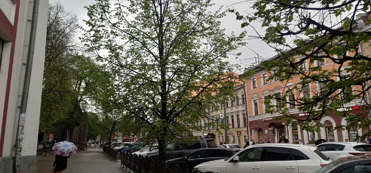 +9 и дожди всю неделю: что ждать ярославцам