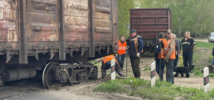 В Ярославле назвали причину, по которой грузовой поезд сошел с рельсов