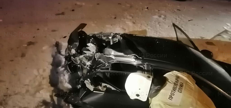 В Ярославской области в ДТП с грузовиком погибли три человека_231786