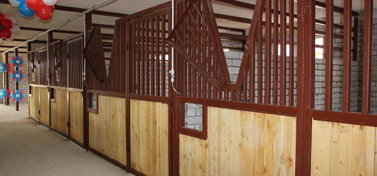 В Ярославле открылась новая конюшня за 10 миллионов рублей 