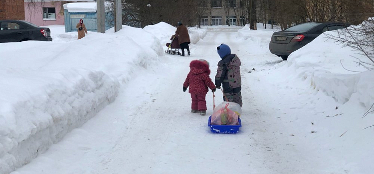 Многодетная мать из Пошехонья пытается оставить детей без квартиры