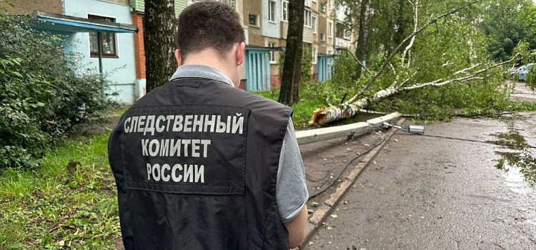 По факту падения столба на ребёнка в Ярославле возбудили уголовное дело