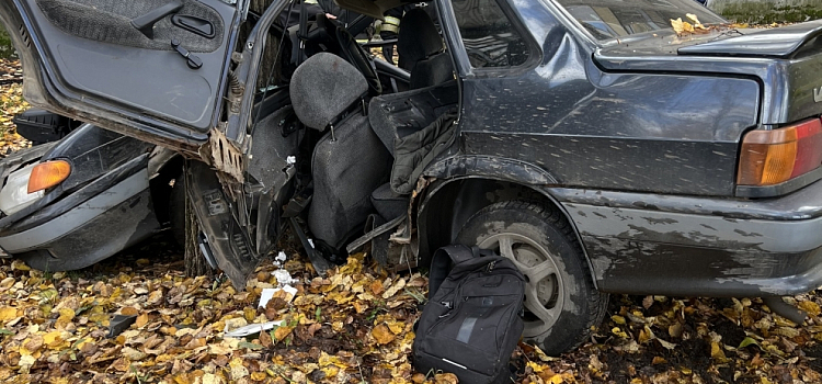 В Ярославле легковушка сложилась пополам после столкновения с деревом_222405