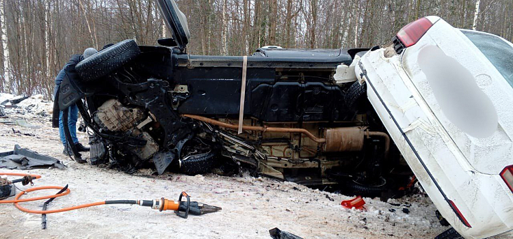 В Ярославской области при столкновении микроавтобуса и легковушки погибли три человека_265323