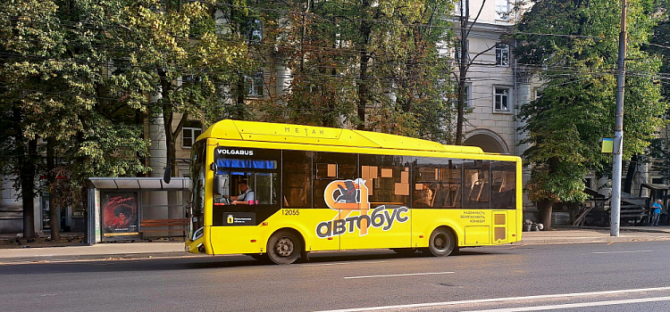 До аэропорта «Туношна» пустят дополнительные автобусные рейсы