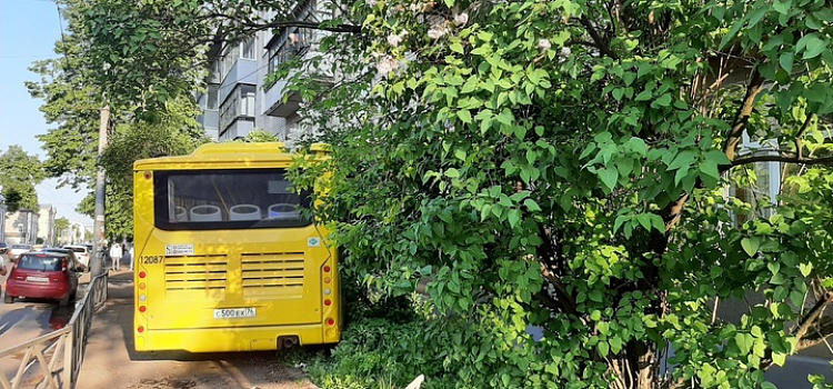 В Ярославле автобус сбил дорожное ограждение и протаранил дерево_241641
