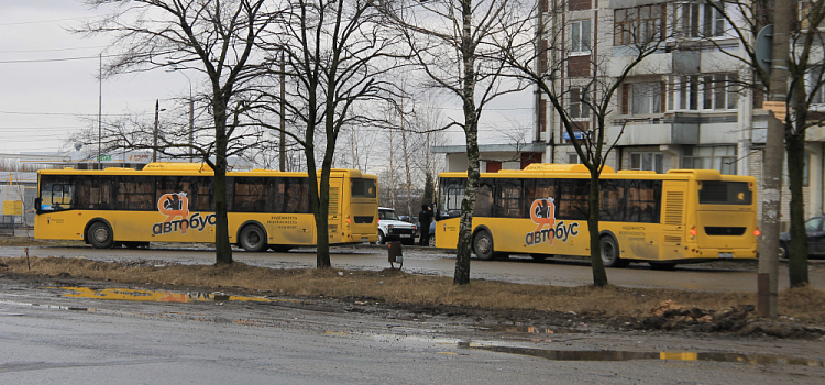 Условия для ярославских водителей автобусов назвали не соответствующими нормам