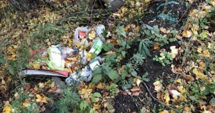 Мэрию Ярославля обязали убрать мусор с улиц Красноперекопского района