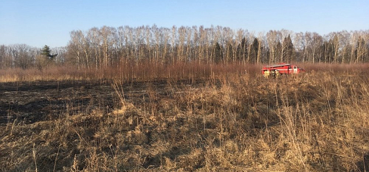 Дети в опасности: жители деревни Бутрево жалуются на пал травы