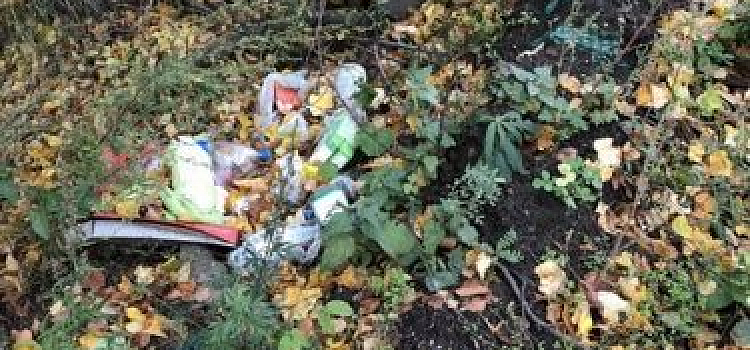 Мэрию Ярославля обязали убрать мусор с улиц Красноперекопского района