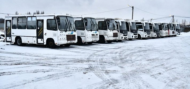 В Ярославле новые перевозчики выйдут еще на шесть маршрутов